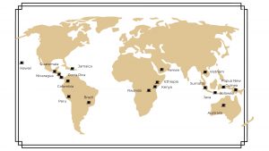 Coffee bean types around the world